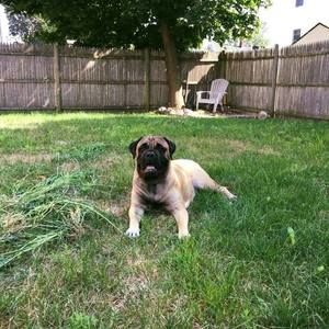 Meet your Posher, Bill